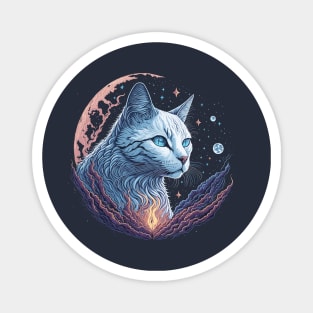 Whit Cat At Night Time Magnet